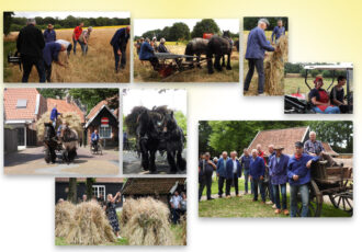 Veel belangstelling voor nostalgische Oogstdag