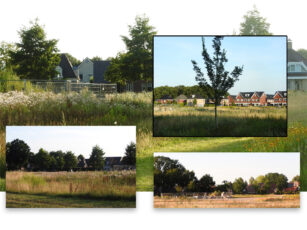 24 woningen op plan Brookhuis