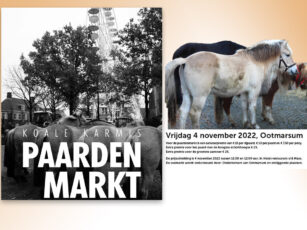 Paardenmarkt tijdens Koale Karmis