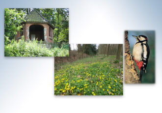 Nog enkele plekken vrij bij spirituele natuurwandeling Tankenberg