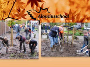 Basisschoolleerlingen uit Weerselo vieren Nationale Boomfeestdag