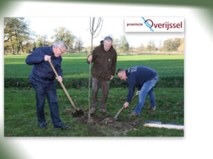 Voordelige bomen vinden gretig aftrek