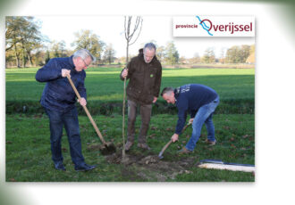 Voordelige bomen vinden gretig aftrek