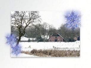 Licht staat centraal tijdens Winterwandeling