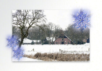 Licht staat centraal tijdens Winterwandeling