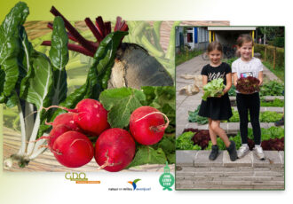 Actie: Gratis groentezaden voor basisscholen en BSO’s uit Overijssel