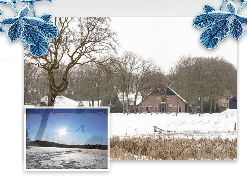 Licht staat centraal tijdens Winterwandeling