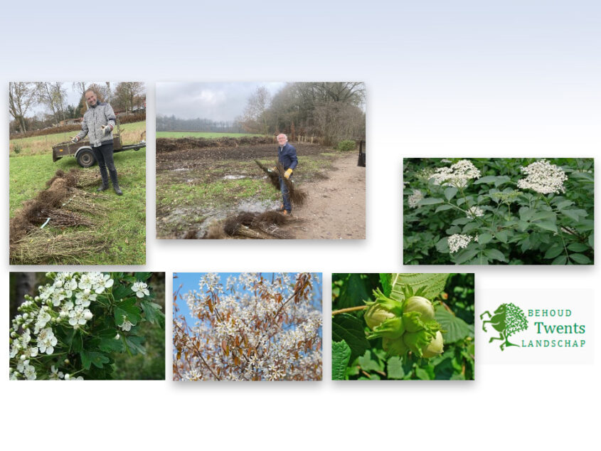 “Het Twents landschap nog mooier maken”