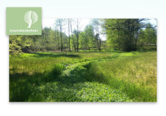 Groene voornemens in praktijk brengen tijdens wandeling Springendal