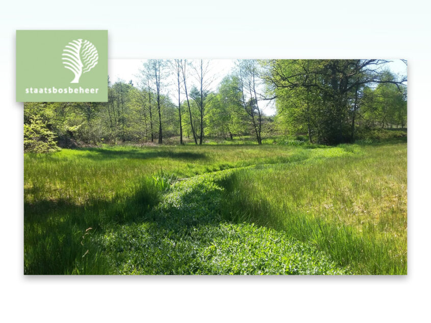 Groene voornemens in praktijk brengen tijdens wandeling Springendal