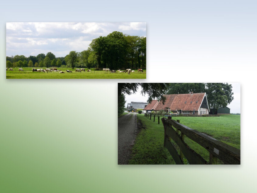Boeren horen bij het Twentse landschap