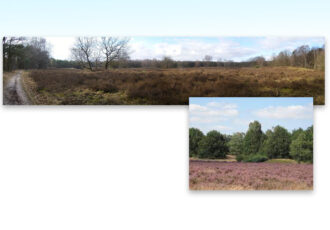 De helende kracht van de natuur