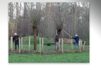 Wilgen knotten door vrijwilligers op de ‘Oosterikserf’