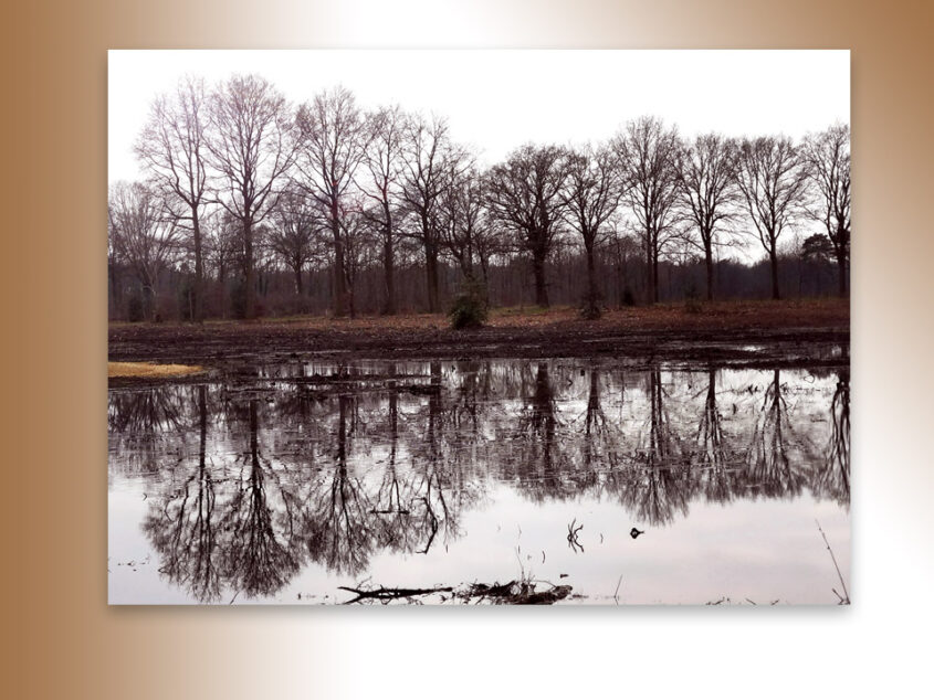 Henriet Offrein ziet het water wassen