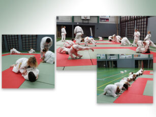 Judolessen op de Meander