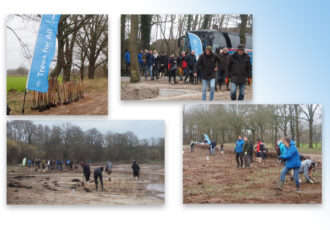 Nieuw bos in de Reutumer Weuste