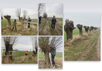 Fijne werkmorgen in de natuur