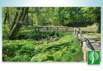 Excursie langs de levensader van het Springendal