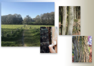 Workshop: ‘Helende Kracht van Bomen’