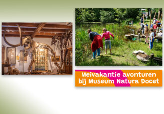Meivakantie bij museum Natura Docet