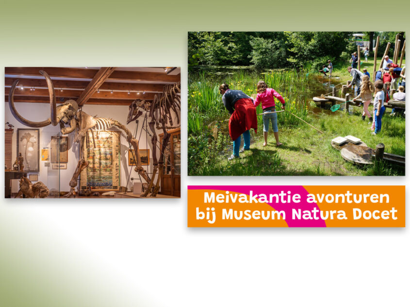 Meivakantie bij museum Natura Docet