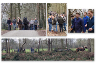 Paaswagen kantelt op Paasweide