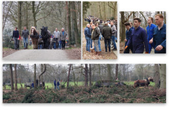 Paaswagen kantelt op Paasweide