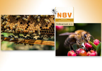 Actieve Bijenvereniging houdt Open Dag