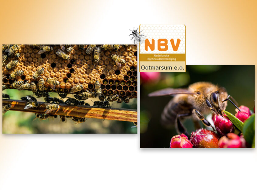 Actieve Bijenvereniging houdt Open Dag