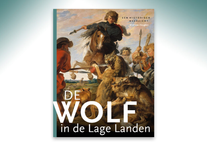 De wolf in de Lage Landen