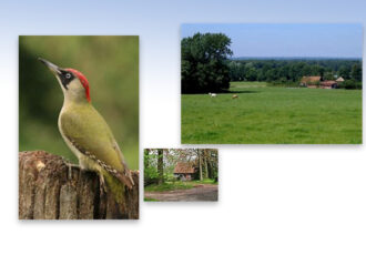 Spirituele natuurwandeling Paasberg