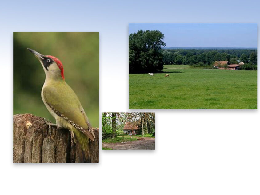 Spirituele natuurwandeling Paasberg