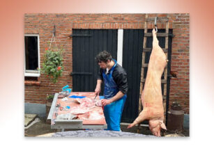 Speciale slachtdag  ‘Aogeler rund’