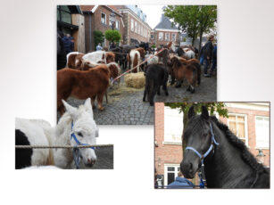 Veel aanvoer paardenmarkt start rustige kermis