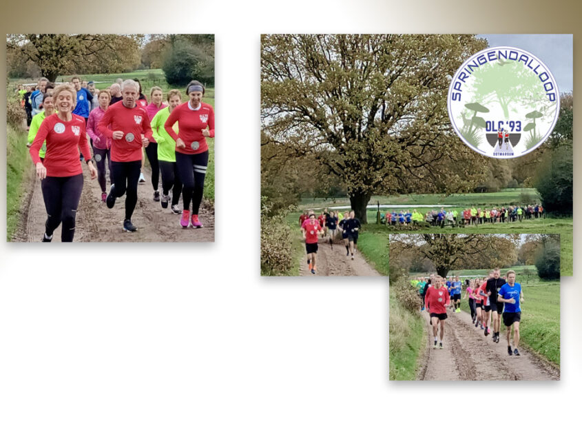 Alleen maar winnaars bij geslaagde Springendalloop