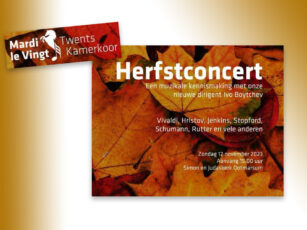 Herfstconcert Mardi le Vingt