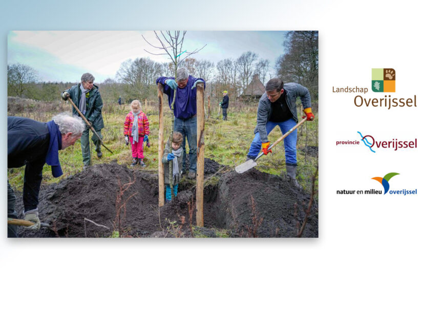 Samen bomen planten met subsidie