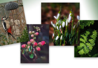 Hollandse luchten en een vleugje lente