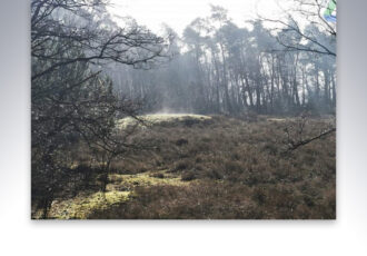 ‘Ontdek de Leylijnen op de Vasserheide’