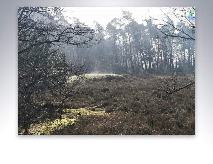 ‘Ontdek de Leylijnen op de Vasserheide’