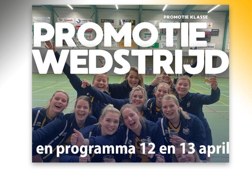 Promotiewedstrijd dames 3 Lammerink Installatiegroep Set-Up ‘65