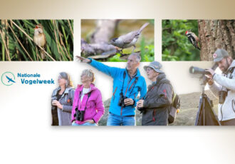 Op pad met ervaren excursieleiders in de Nationale Vogelweek