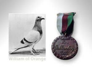 Postduiven in de tweede wereldoorlog 1940 – 1945
