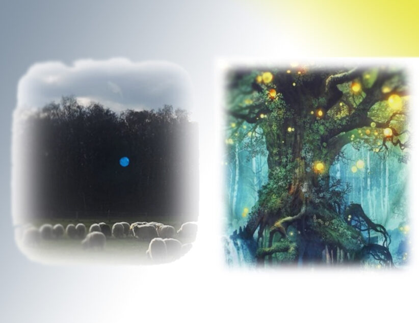 Midzomernachtworkshop:  LICHT OP DE ONZICHTBARE WERELD