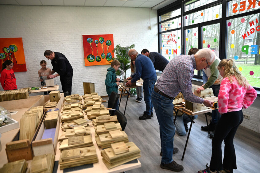 Basisschoolleerlingen ’n Esch leren over nestkastjes