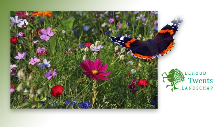 Gratis bloemzaden voor grondeigenaren