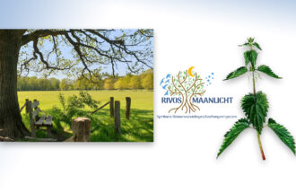 Workshop:geneeskrachtige/eetbare kruiden