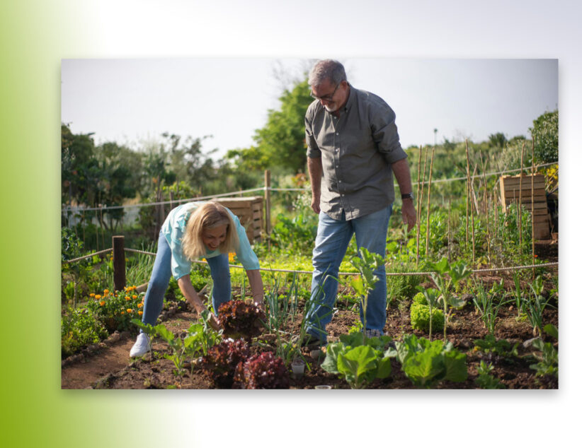 Moestuin huren op de Mors
