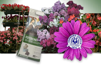 Bloemenactie Harmonie Caecilia