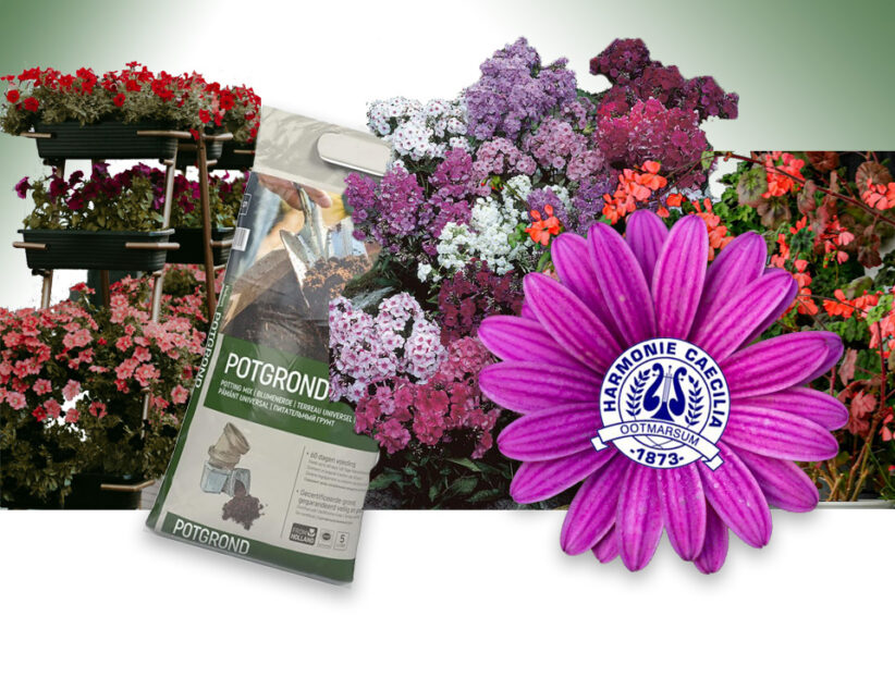 Bloemenactie Harmonie Caecilia